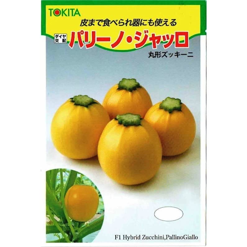 Amazon.co.jp: トキタ種苗 ズッキーニ パリーノ ジャッロ : DIY・工具